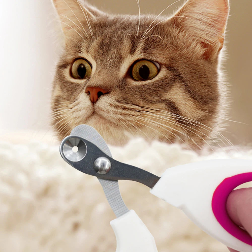 Small Blind Cat Nail Clippers Small Blind Cat Nail Clippers Special Pet Nail Clippers Ezkrea